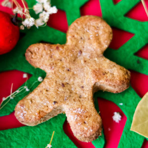 Gingerbread – especial Natal