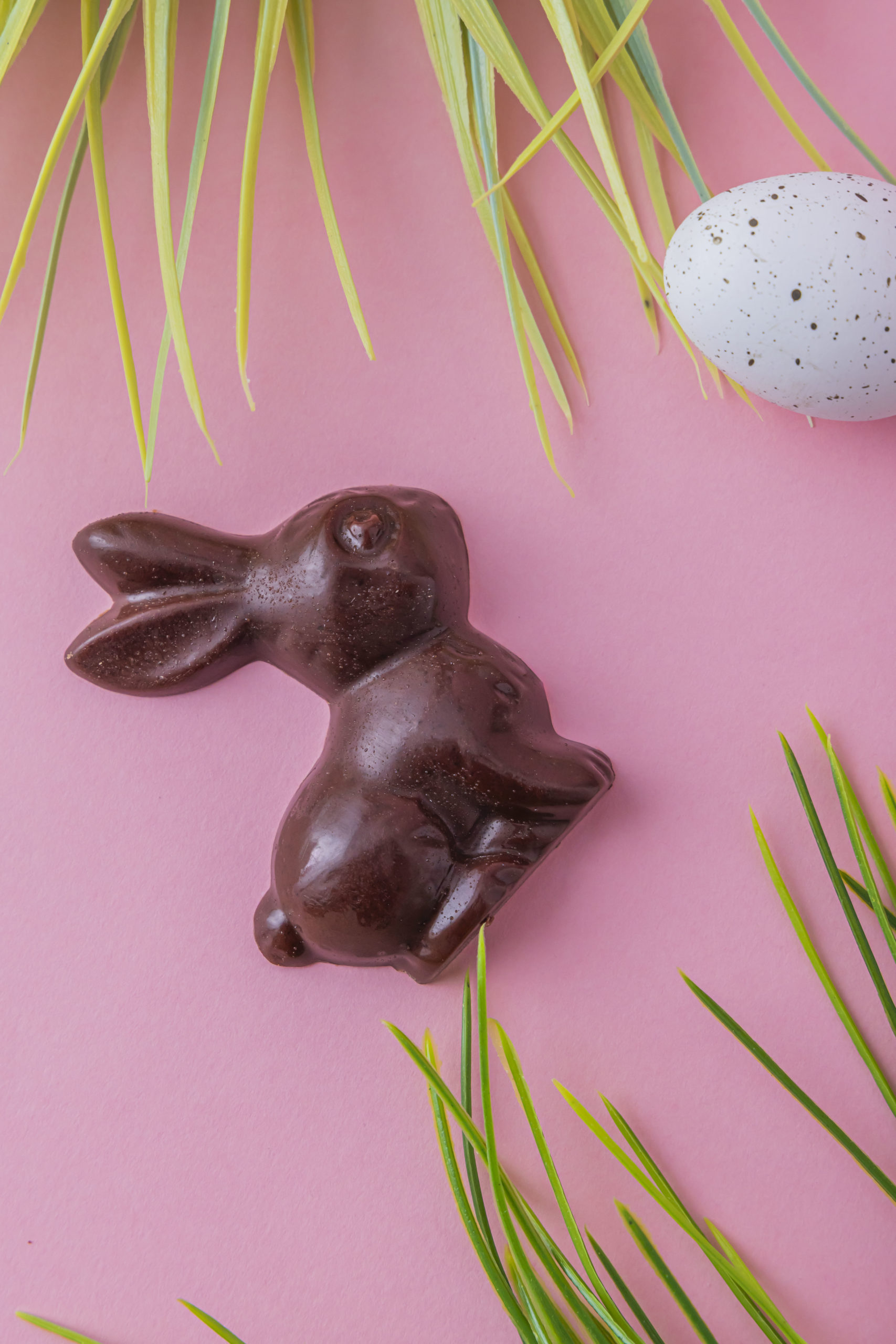 Coelhinhos de chocolate